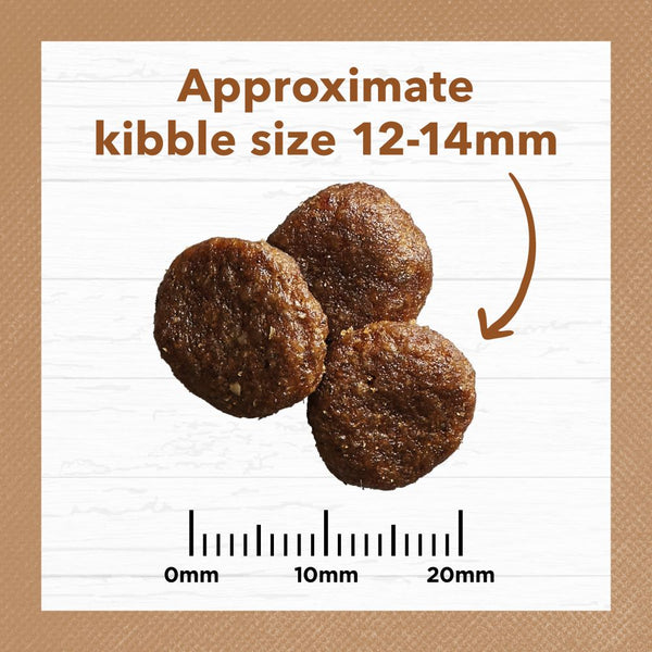9348601000649-IC_AU_13KG_ADULTDOG_GF_LAMB_KANGAROO_07_ACTUALSIZE.jpg